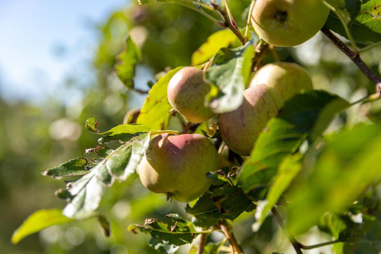 Willa Pomme De Reinette Azay-le-Rideau Zewnętrze zdjęcie