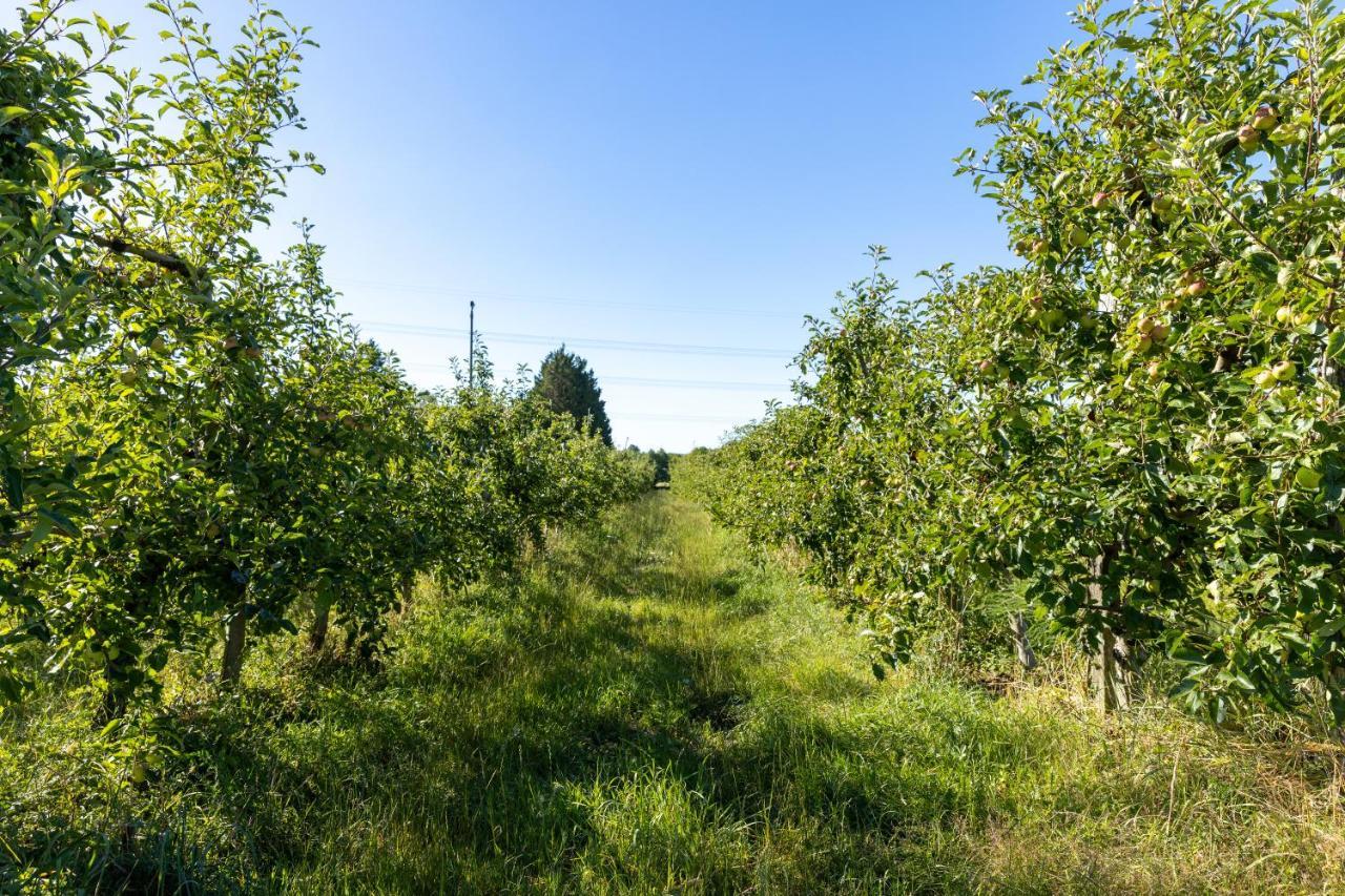 Willa Pomme De Reinette Azay-le-Rideau Zewnętrze zdjęcie